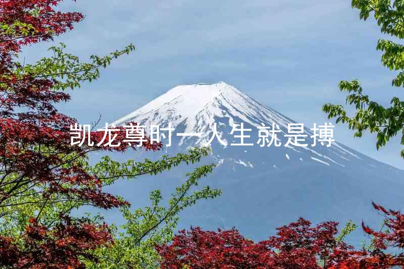 凯龙尊时一人生就是搏